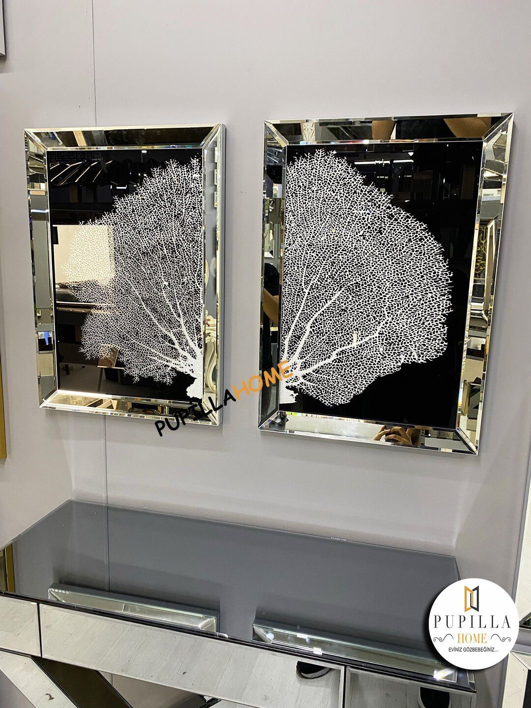 Gümüş Renk Mercan Camlı Tablo